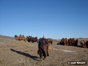 Femme mongole transportant des bacs en bois