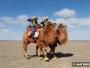 Enfants montant des chameaux de Bactriane dans le désert de Gobi