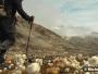 J16 - En route vers le village de Kuummiut, terme de notre itinéraire pédestre