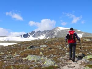 Une randonneuse marche en direction du SnoHetta dans le massif de Divre en Norvège