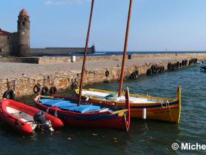 Port de Collioure avec des barques catalanes