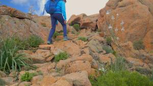 Randonnée dans la Baie de Porto en Corse
