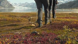 Des randonneurs progressent sur la toundra en milieu polaire au Groenland