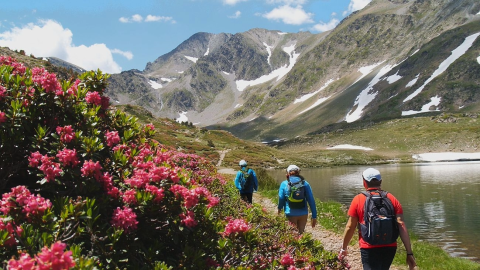 Randonnée dans les Pyrénées Catalanes