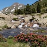 Pyrénées Catalanes - randonnées de début d'été