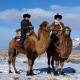 Désert de Gobi en Hiver