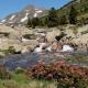 Pyrénées Catalanes - randonnées de début d'été